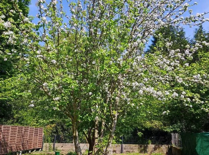 ホテル Maison De 3*