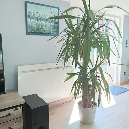 Отель Maison De 3*