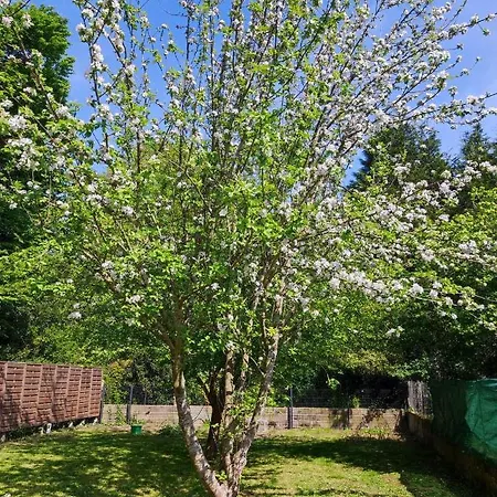 Отель Maison De 3*